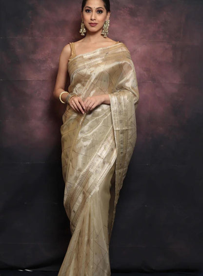 Tissuesilk Saree with swarovski work