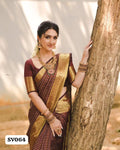 Celebrity Inspired Semi Tissue Silk Sarees
