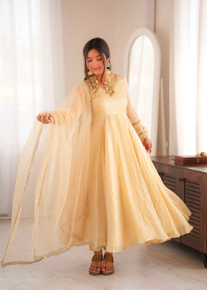 Partywear Anarkali Gown Set with Mirror Work Lace Border