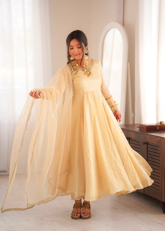 Partywear Anarkali Gown Set with Mirror Work Lace Border