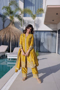 Designer Suit with Sequence and Zari Embroidery