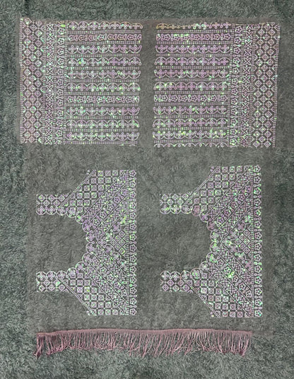 Relaunch- Designer Sequence Pink Saree