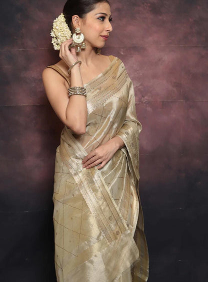 Tissuesilk Saree with swarovski work